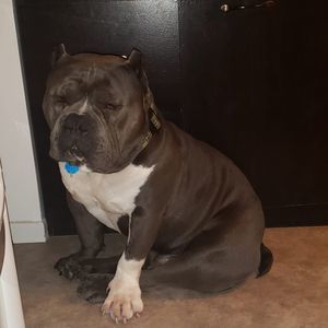 Meet your Posher, Robbin